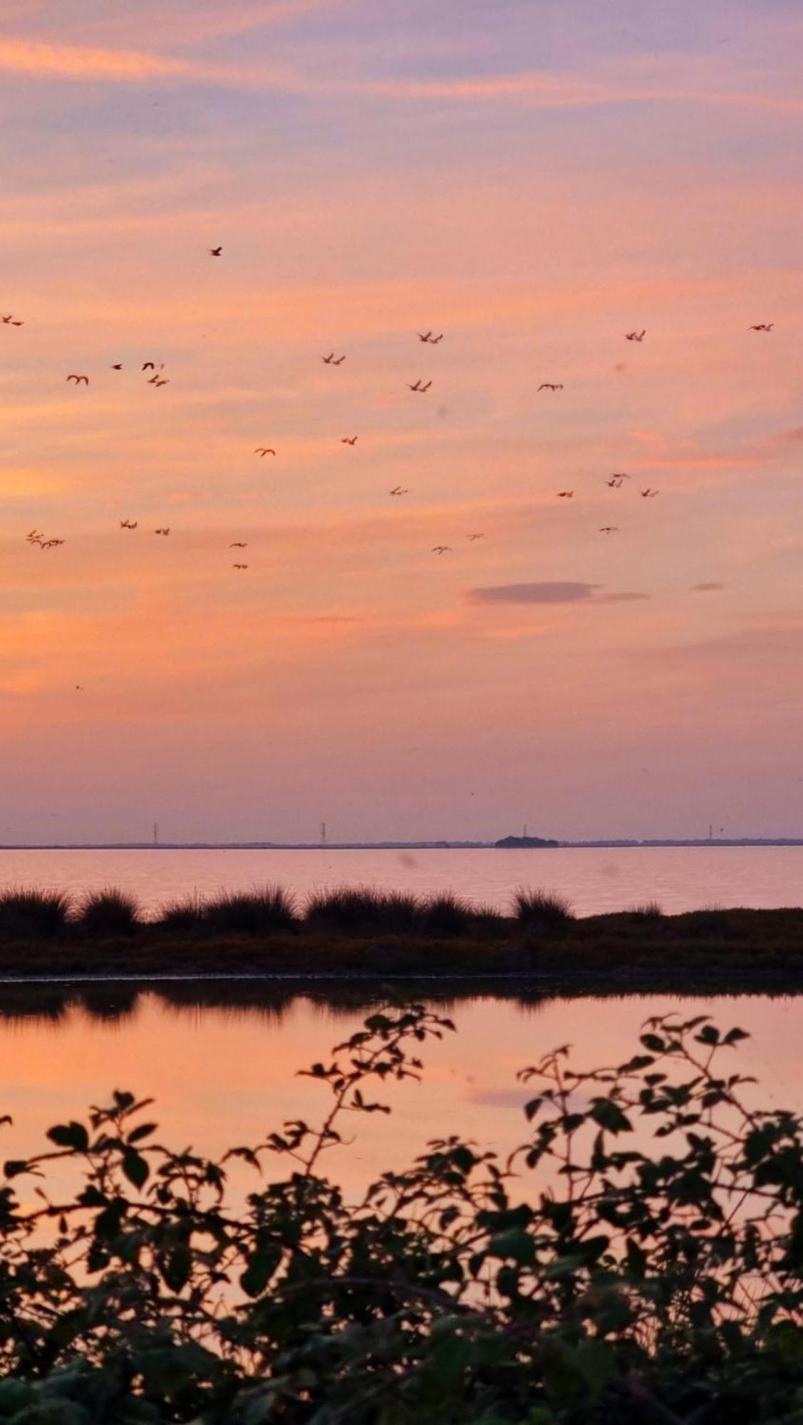 Bed and Breakfast Al Ponticello Comacchio Zewnętrze zdjęcie