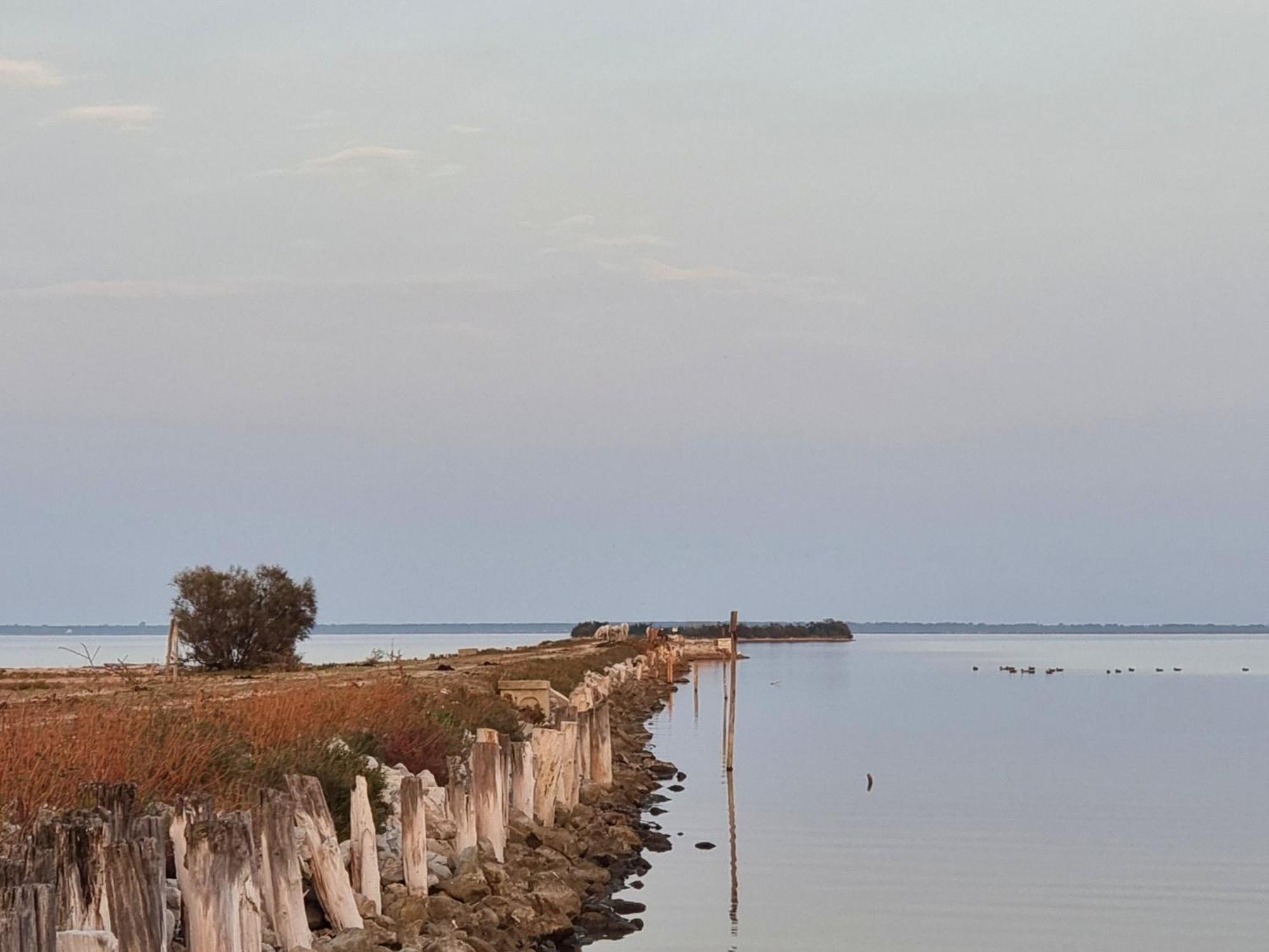 Bed and Breakfast Al Ponticello Comacchio Zewnętrze zdjęcie